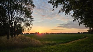 Zonsondergang weilanden met nog wat lichte bewolking 
