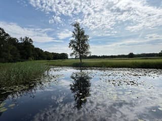 Mooie weerspiegeling 