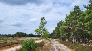 Zon en wolken 
