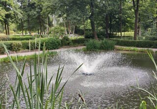 Verkoeling op de visvijver.