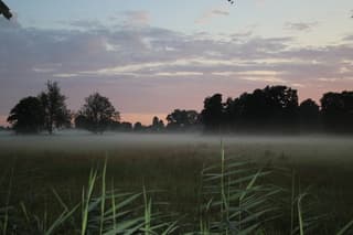 zonsopkomst