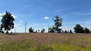 Winterberg in de zomer 