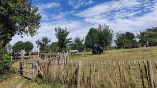 Drukkend warm voor mens en dier.