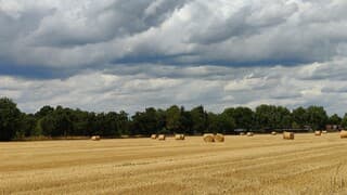 Oogst op tijd binnen halen.