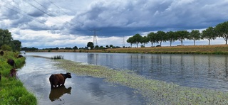 Nog 28 graden in Limburg
