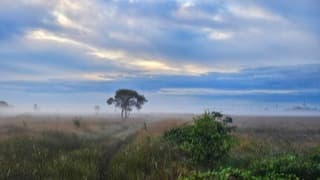 Langzaam wordt het lichter 