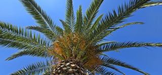 Prachtig mooi weer in Splt