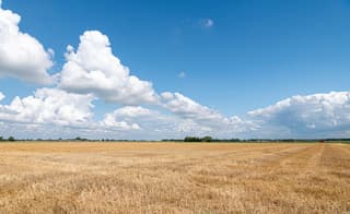 De oogst was binnen voor de regen viel