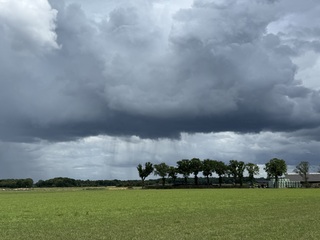 Regen