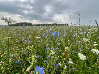 Toch nog blauw op deze grijzige dag