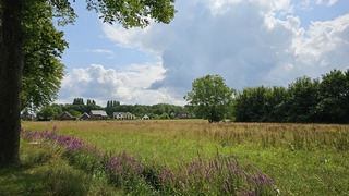 Tussen de buien door