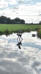 Reiger heeft goed uitzicht 