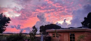 Avondrood Kreileroord