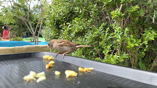 Mooi weer om buiten te eten 