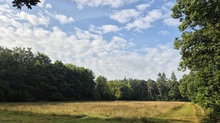 Bewolkte lucht 