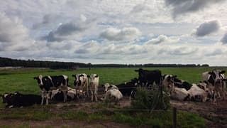 Veel bewolking in Drenthe 