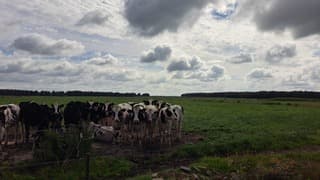 Veel bewolking in Drenthe 