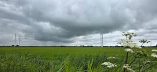 Regenwolken en regen boven de Groninger landerijen 