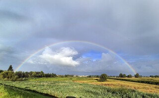 Regenboog