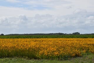 Mooi zomerweer geworden