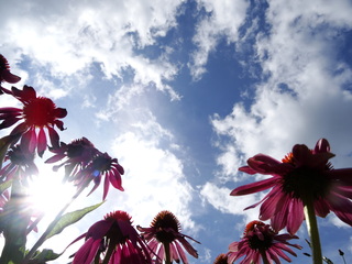 Wolkenlucht