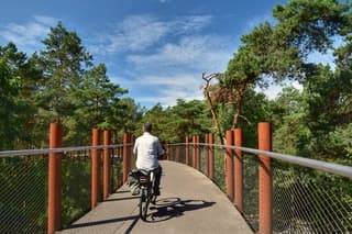 Fietsen door de boomtoppen 