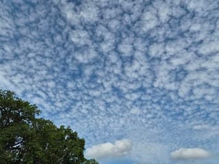 Schaapskudde in de lucht