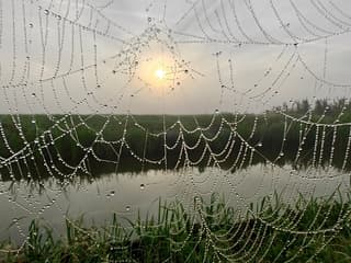 Mistige start van de dag