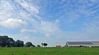 Een mooie nog niet zo hete Zomerdag