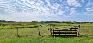 Mooie zomerdag in Schipborg