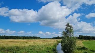 Prima zomerweer!