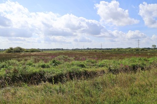 Mooie zondag in Peize 