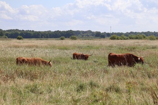 Mooie zondag in Peize 