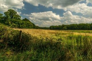 Landgoed Mattemburgh