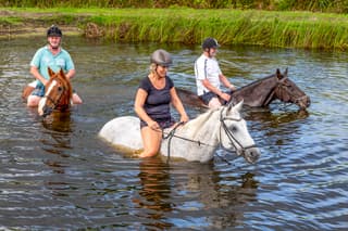 Verkoeling zoeken voor mens en dier (archieffoto). 