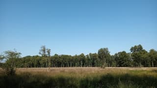 Geen wolkje aan de lucht