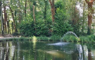 Bij de visvijver Heioord.