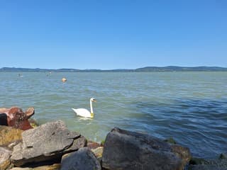 Een prachtige zomerdag!