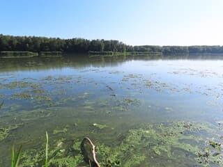 het mooie meer met groene/blauw alg? 