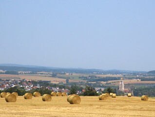 Het graan al geoogst.