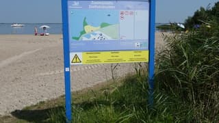 Een negatief zwemadvies door blauwalg