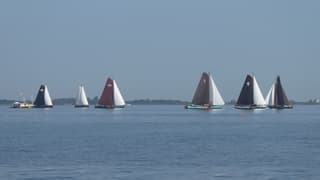 Bijna geen wind bij het IFKS skûtsjesilen