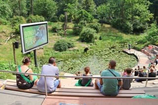 Mooie zomerdag bij Apenheul in Apeldoorn