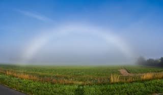 Mistboog boven de Zuidlandse polder