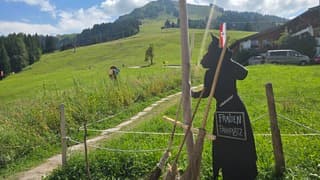 Soll beetje ludiek die parkeerplaats..  ?