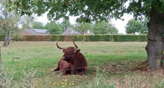  een verademing dat de hitte even voorbij is