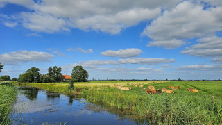 Rouveen 