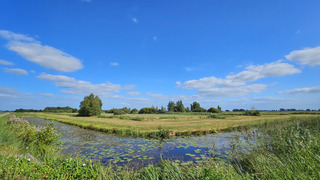 Rouveen 