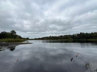 Grijs wolkendek boven de Mannespoel bij Vledderveen