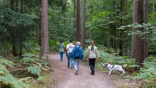 Bewolkt weer maar aangenaam weer voor een wandeling, het jasje kon weer aan